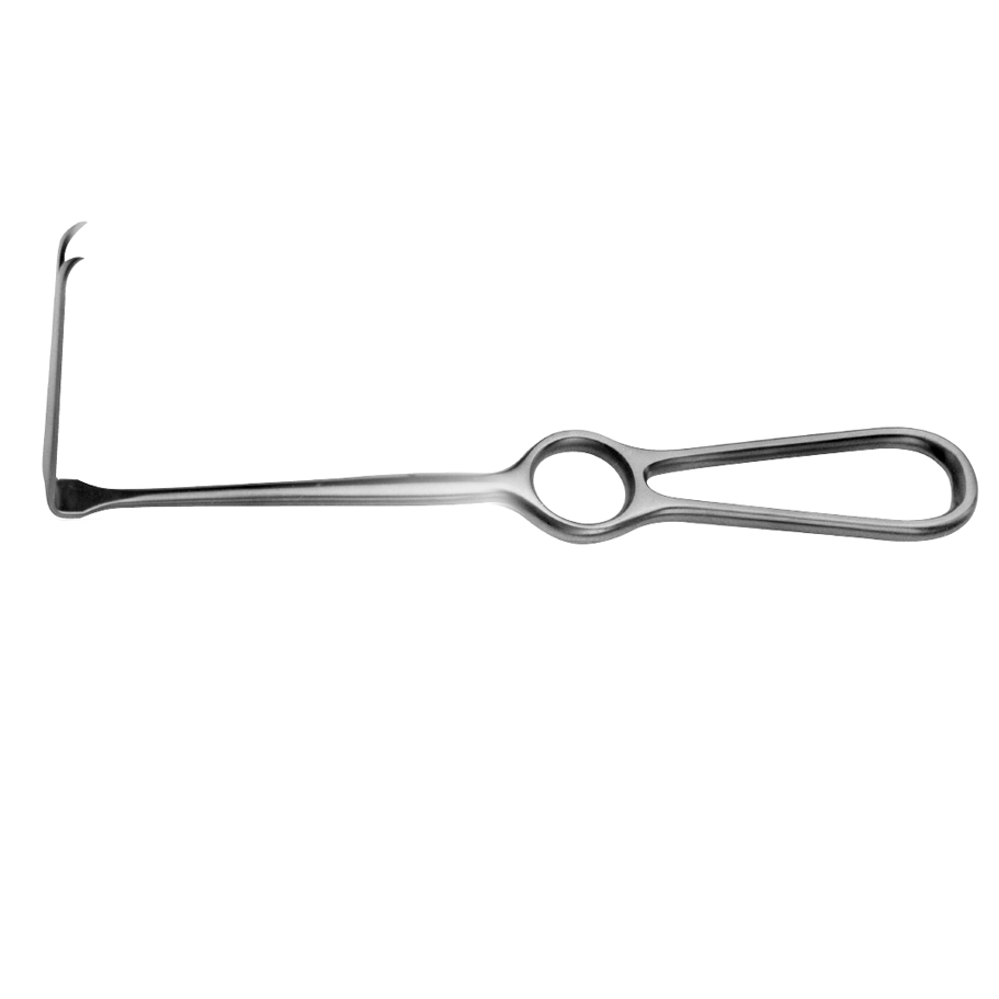 »óǰ ¼¶³×ÀÏ »óǰ ¼¶³×ÀÏ