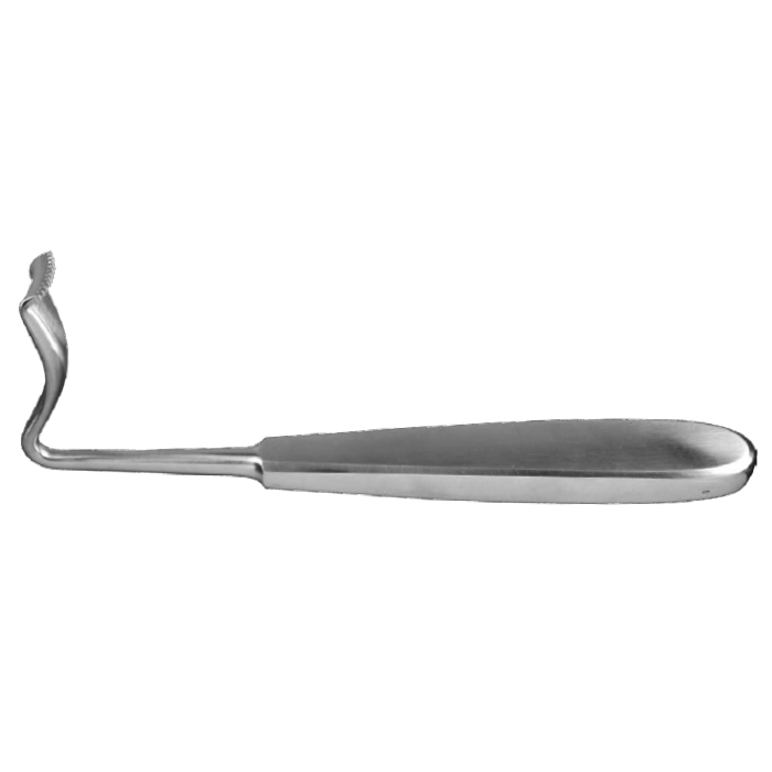 »óǰ ¼¶³×ÀÏ »óǰ ¼¶³×ÀÏ