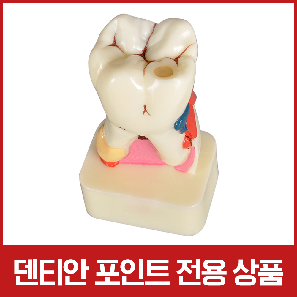 ǰ 