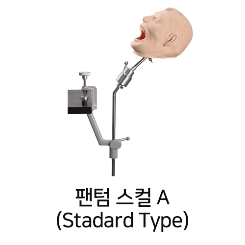 ǰ 