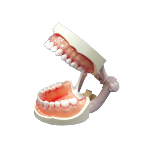ǰ 
